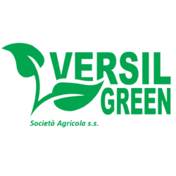 Versil Green